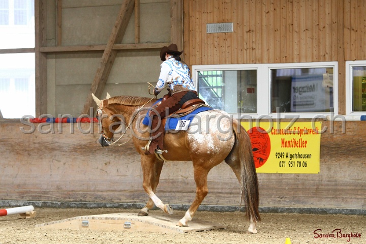 28-ApHC OT_009.jpg